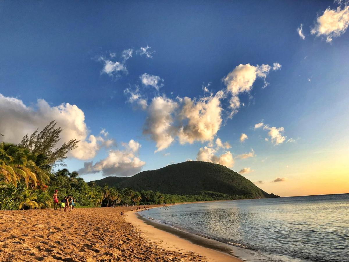 Le Surf Lodge, Chambre Avec Vue Mer Dans Un Ecrin De Verdure เดเอ ภายนอก รูปภาพ